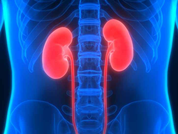 Kaliumarvon kohoaminen voi olla merkki munuaissairaudesta