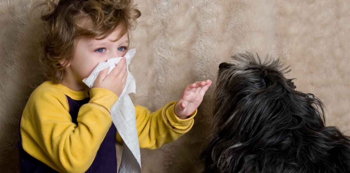 Eläinallergia on yleinen vaiva – näin hoidat oireita