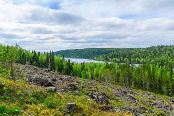 kuusamo kuntijarvi